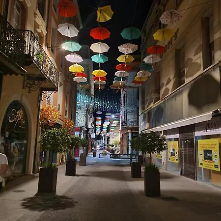 Decouvrez Ancienne Maison De Drapier Du Xvii Siecle Au Coeur De Bastide Apartmán