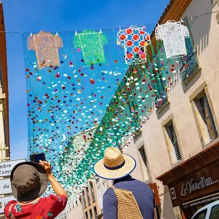 Decouvrez Ancienne Maison De Drapier Du Xvii Siecle Au Coeur De Bastide * Carcassonne