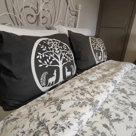 Decouvrez Ancienne Maison De Drapier Du Xvii Siecle Au Coeur De Bastide Carcassonne