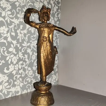 Apartmán Decouvrez Ancienne Maison De Drapier Du Xvii Siecle Au Coeur De Bastide Carcassonne